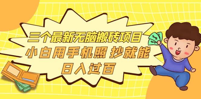 三个最新无脑搬砖项目，小白用手机照抄就能日入过百-枫叶微课堂