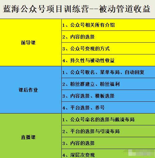 米辣微课·蓝海公众号项目训练营，手把手教你实操运营公众号和小程序变现-枫叶微课堂
