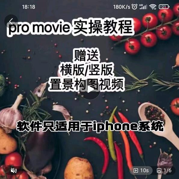 漆十二美食摄影，25​节promovie实操高手课节-枫叶微课堂