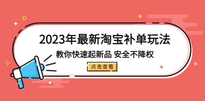 2023年最新淘宝补单玩法，教你快速起·新品，安全·不降权（18课时）-枫叶微课堂