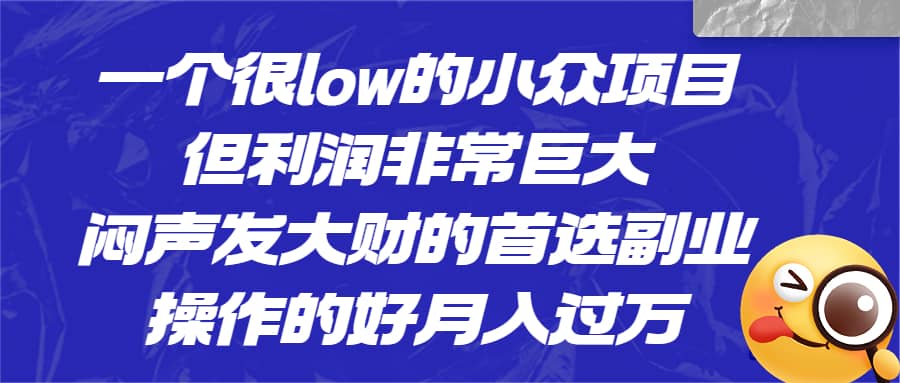 一个很low的小众项目，但利润非常巨大，闷声发大财的首选副业，月入过万-枫叶微课堂