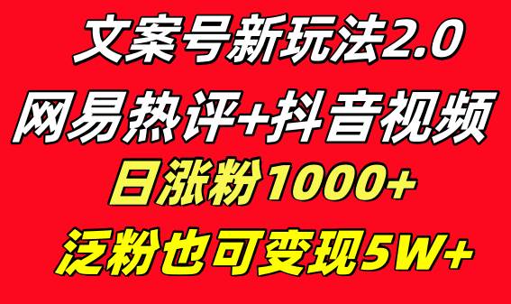 文案号新玩法 网易热评+抖音文案 一天涨粉1000+ 多种变现模式 泛粉也可变现-枫叶微课堂
