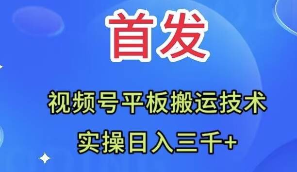 全网首发：视频号平板搬运技术，实操日入三千＋-枫叶微课堂