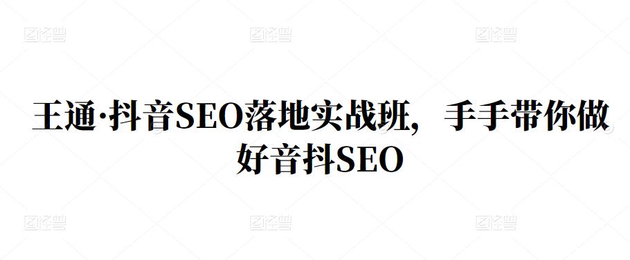 王通·抖音SEO落地实战班，手‬手带你做好音抖‬‬SEO-枫叶微课堂