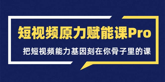 短视频原力赋能课Pro，把短视频能力基因刻在你骨子里的课（价值4999元）-枫叶微课堂