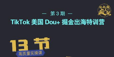 TikTok美国Dou+掘金出海特训营，美国dou+成功投放95%-枫叶微课堂