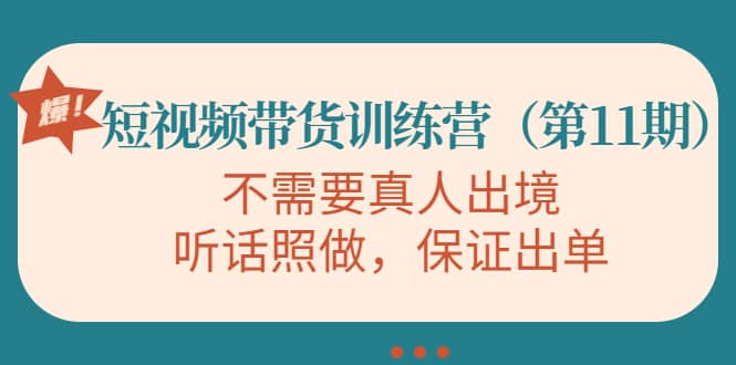 短视频带货训练营（第11期），不需要真人出境，听话照做，保证出单-枫叶微课堂