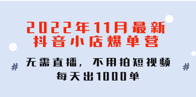 2022年11月最新抖音小店爆单训练营：无需直播，不用拍短视频，每天出1000单-枫叶微课堂