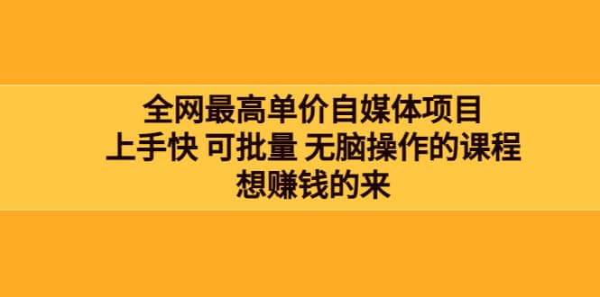 全网最单高价自媒体项目：上手快 可批量 无脑操作的课程，想赚钱的来-枫叶微课堂
