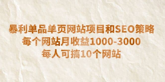 暴利单品单页网站项目和SEO策略 每个网站月收益1000-3000 每人可搞10个-枫叶微课堂