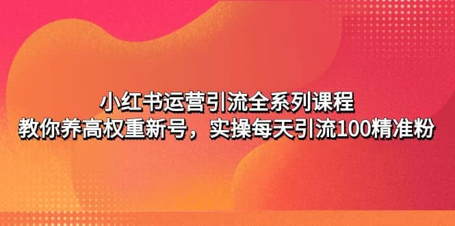 小红书运营引流全系列课程：教你养高权重新号-枫叶微课堂