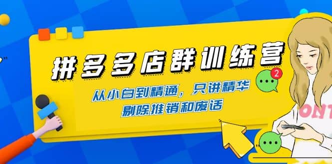 拼多多店群训练营：从小白到精通，只讲精华，剔除推销和废话-枫叶微课堂