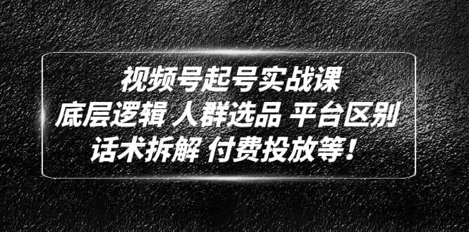 视频号起号实战课：底层逻辑 人群选品 平台区别 话术拆解 付费投放等-枫叶微课堂