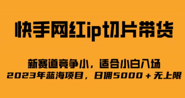 快手网红ip切片新赛道，竞争小事，适合小白 2023蓝海项目-枫叶微课堂