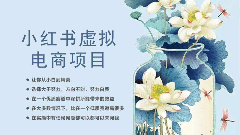 小红书虚拟电商从0到1，让你从小白到精英（20节实操课程）-枫叶微课堂
