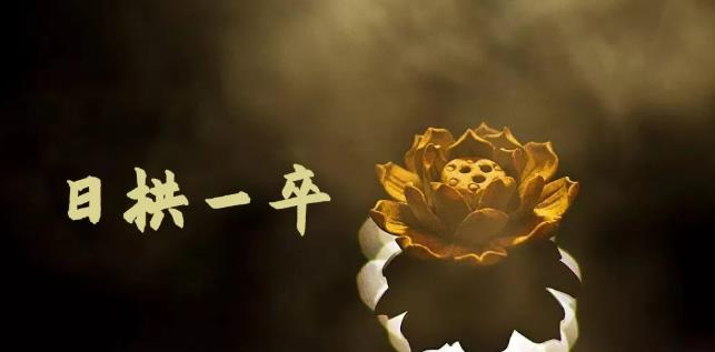 无脑搬砖，普通人可以复制的副业赚钱项目(附软件)-枫叶微课堂