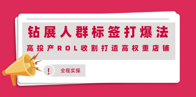 钻展人群标签打爆法，高投产ROL收割打造高权重店铺(全程实操)-枫叶微课堂