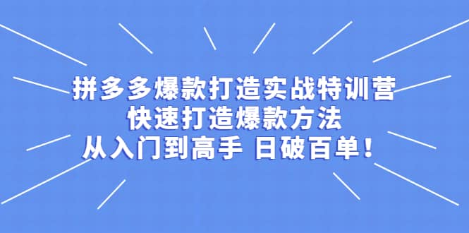 拼多多爆款打造实战特训营：快速打造爆款方法，从入门到高手 日破百单-枫叶微课堂