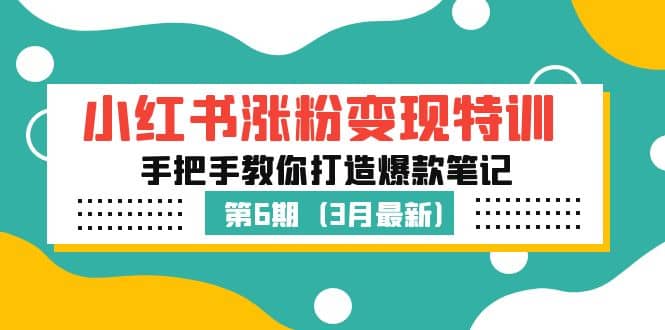 小红书涨粉变现特训·第6期，手把手教你打造爆款笔记（3月新课）-枫叶微课堂