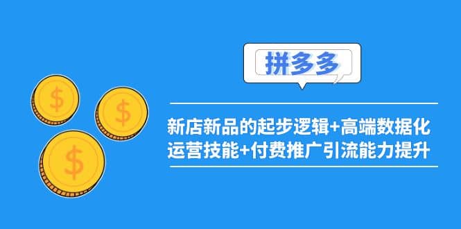 2022拼多多：新店新品的起步逻辑+高端数据化运营技能+付费推广引流能力提升-枫叶微课堂