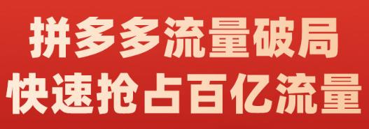 阿杰·拼多多流量破局:如何打黑标，爆款的思路，拼多多流量框架，快速抢占百亿流量-枫叶微课堂