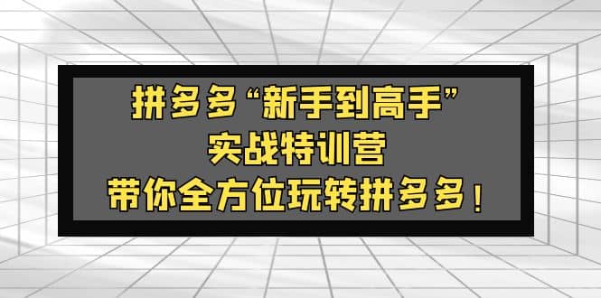 拼多多“新手到高手”实战特训营：带你全方位玩转拼多多-枫叶微课堂
