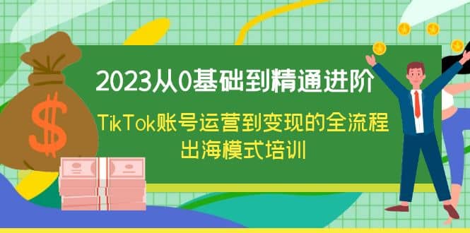 2023从0基础到精通进阶，TikTok账号运营到变现的全流程出海模式培训-枫叶微课堂