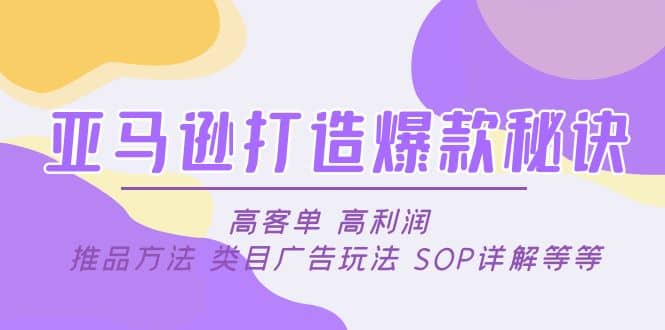 亚马逊打造爆款秘诀：高客单 高利润 推品方法 类目广告玩法 SOP详解等等-枫叶微课堂
