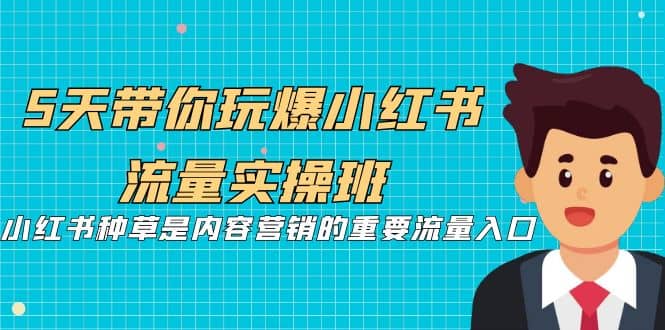 5天带你玩爆小红书流量实操班，小红书种草是内容营销的重要流量入口-枫叶微课堂