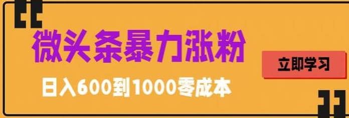 微头条暴力涨粉技巧搬运文案就能涨几万粉丝，简单0成本，日赚600-枫叶微课堂