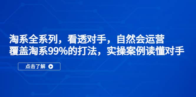 淘系全系列，看透对手，自然会运营，覆盖淘系99%·打法，实操案例读懂对手-枫叶微课堂