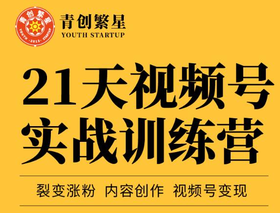 张萌21天视频号实战训练营，裂变涨粉、内容创作、视频号变现 价值298元-枫叶微课堂