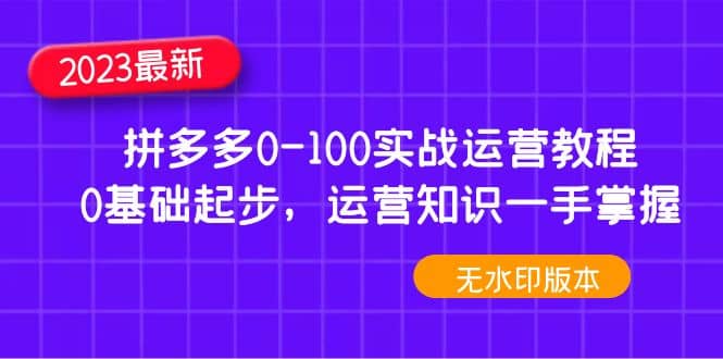 2023拼多多0-100实战运营教程，0基础起步，运营知识一手掌握（无水印）-枫叶微课堂