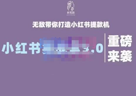 谢无敌·小红书实战营3.0，无敌带你打造小红书提款机 价值7999元-枫叶微课堂