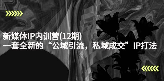 新媒体IP内训营(12期)，一套全新的“公域引流，私域成交”IP打法，直接带走-枫叶微课堂