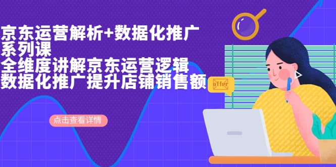 京东运营解析与数据化推广系列课，全维度讲解京东运营逻辑+数据化推广提升店铺销售额-枫叶微课堂
