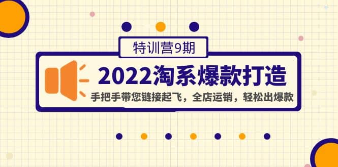 2022淘系爆款打造特训营9期：手把手带您链接起飞，全店运销，轻松出爆款-枫叶微课堂