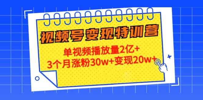 20天视频号变现特训营：单视频播放量2亿+-枫叶微课堂