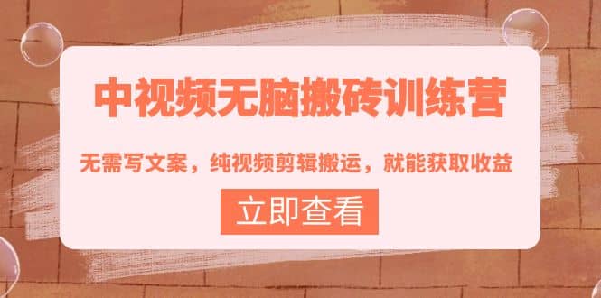 中视频无脑搬砖训练营：无需写文案，纯视频剪辑搬运，就能获取收益-枫叶微课堂