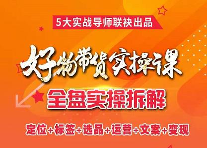 抖音好物带货实操课，全盘拆解抖音好物带货号全套流程打法-枫叶微课堂
