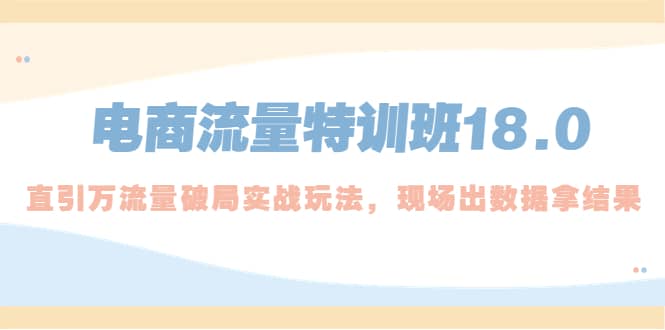 电商流量特训班18.0，直引万流量破局实操玩法，现场出数据拿结果-枫叶微课堂