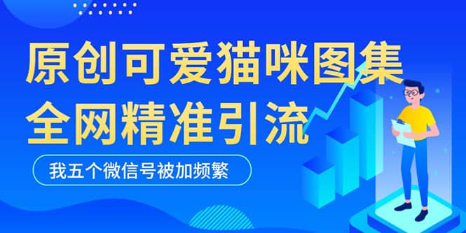 黑科技纯原创可爱猫咪图片，全网精准引流，实操5个VX号被加频繁-枫叶微课堂