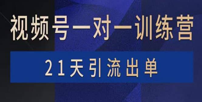 视频号训练营：带货，涨粉，直播，游戏，四大变现新方向，21天引流出单-枫叶微课堂