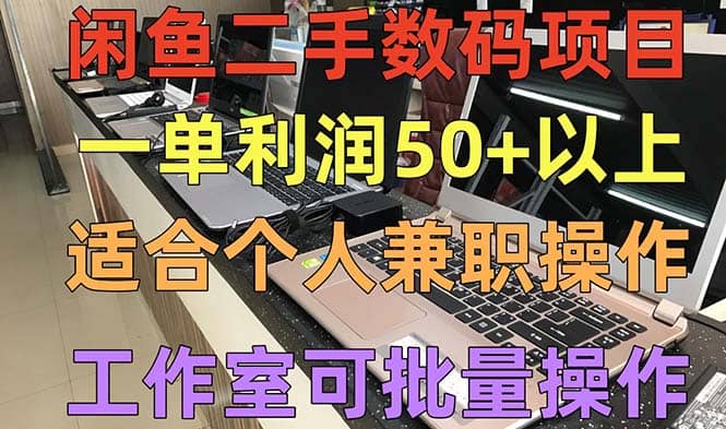闲鱼二手数码项目，个人副业低保收入，工作室批量放大操作-枫叶微课堂
