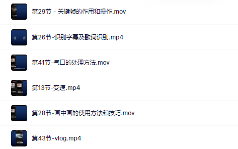 魏不惑:小白一学就会的短视频剪辑课，解决你日常剪辑重遇到的常见问题-枫叶微课堂