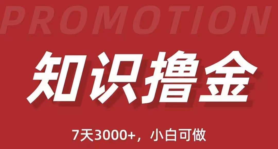 抖音知识撸金项目：执行力强当天见收益(教程+资料)-枫叶微课堂