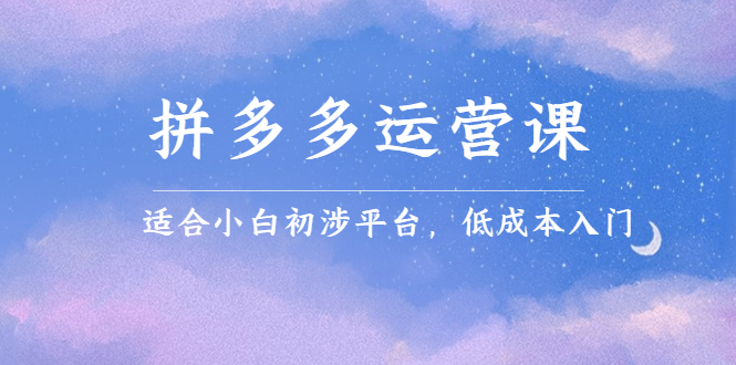 拼多多运营课，适合小白初涉平台，低成本入门-枫叶微课堂