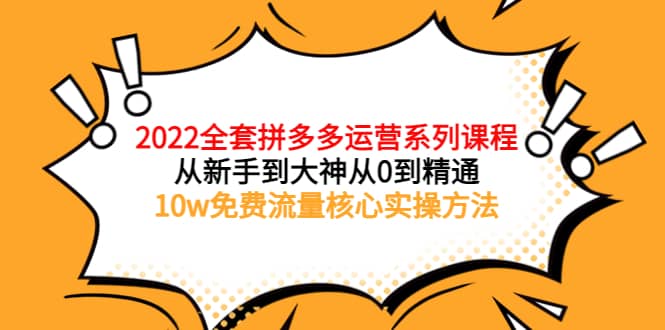 2022全套拼多多运营课程，从新手到大神从0到精通，10w免费流量核心实操方法-枫叶微课堂