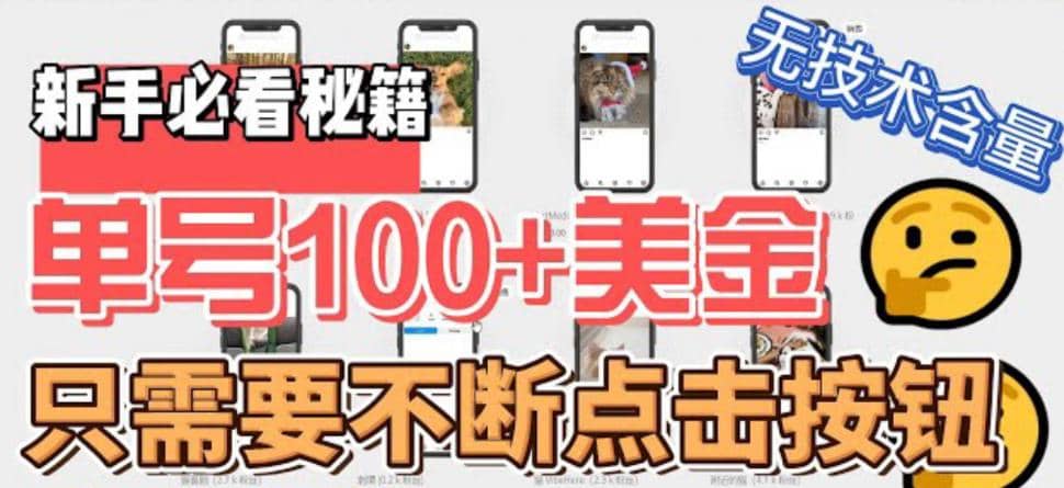 最新无脑只需不断点击按钮，单号100美金暴利项目，可批量操作-枫叶微课堂
