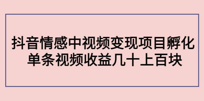 抖音情感中视频变现项目孵化-枫叶微课堂